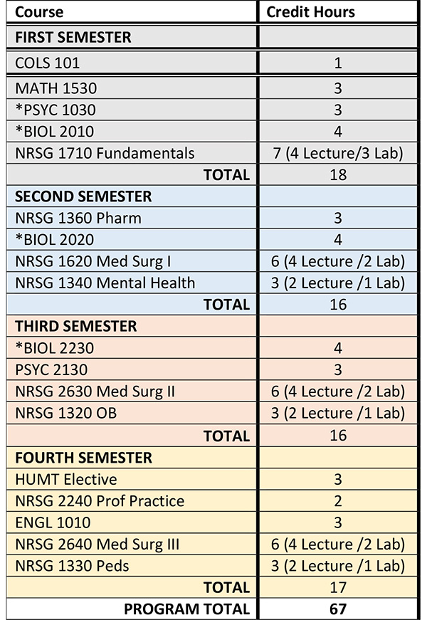 Nursing Program of Study