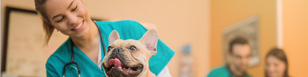 vet technician with dog