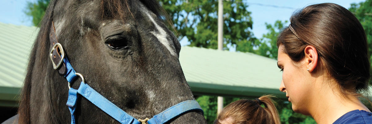 students with horse