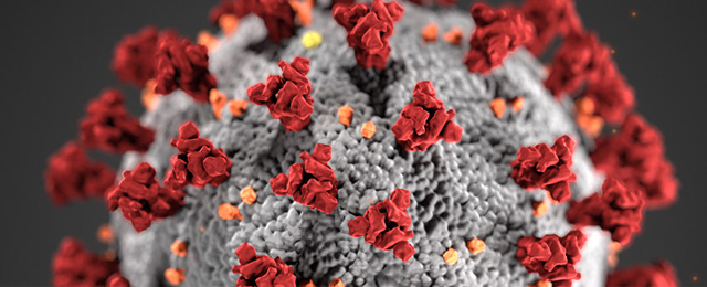 coronavirus