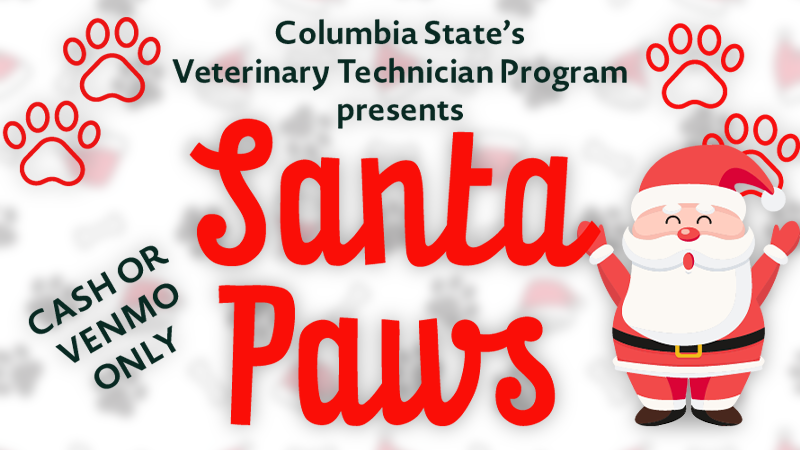 Santa Paws