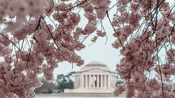 Memorial Day Holiday (College Closed)