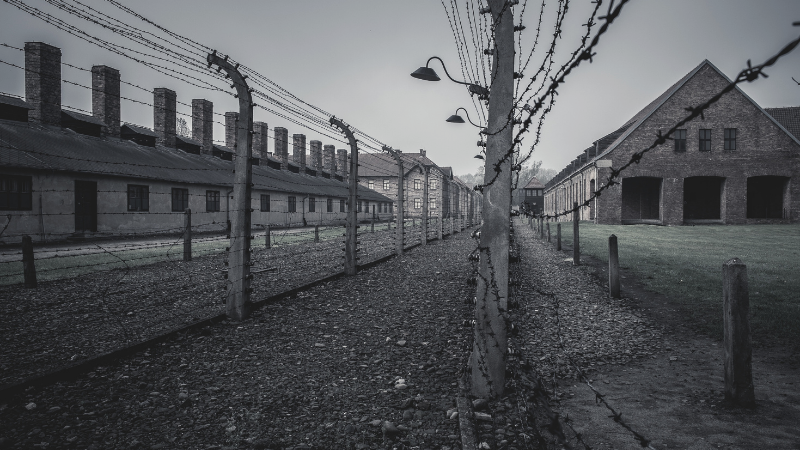 Liberators and Survivors: Stories of the Concentration Camps