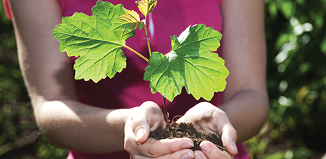 A woman holding a plant