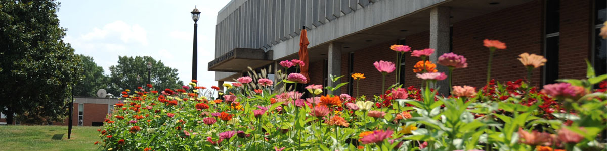 flowers in front of library