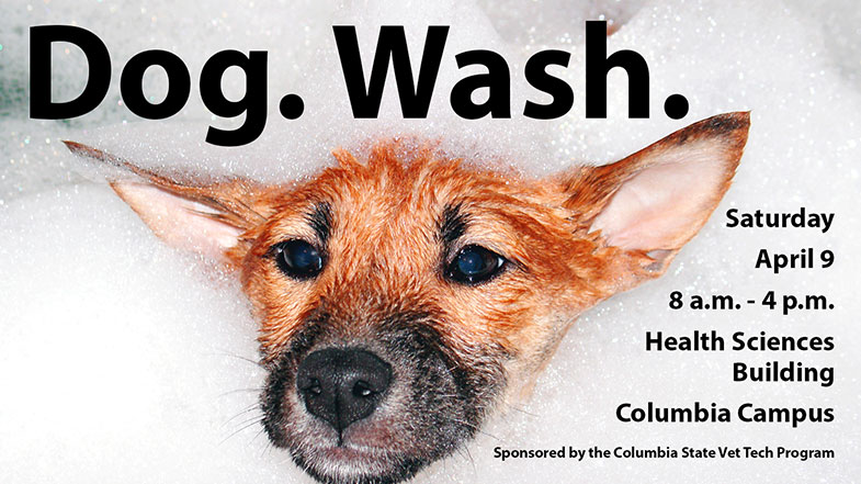 Doggie-Spa-Day-April-2016 Dog taking bath