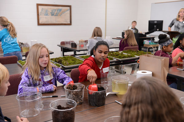 STEM girls build ecosystem 