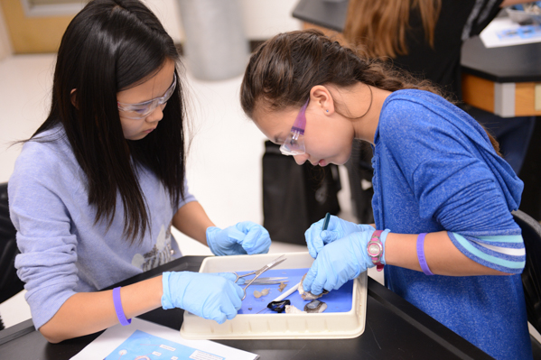 STEM GiRLS attendees dissect a cow eyeball