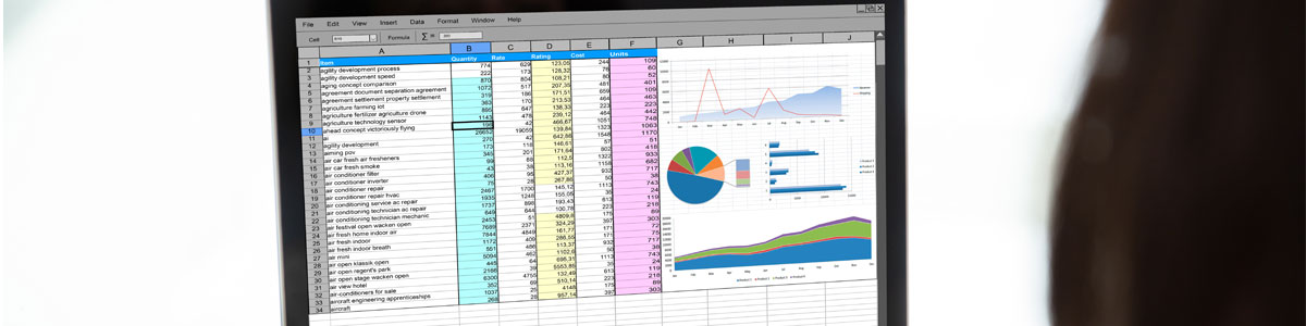 woman working on spreadsheet on laptop